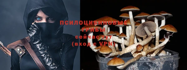 a pvp Алзамай