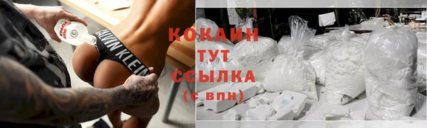 индика Арсеньев