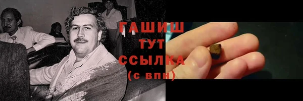 индика Арсеньев