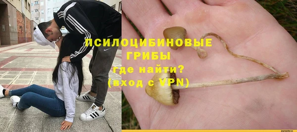 a pvp Алзамай