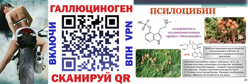 Купить закладки  Бабаево  Галлюциногенные грибы Magic Shrooms 